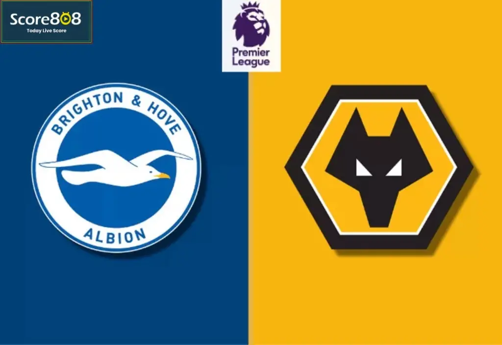 Jadwal Liga Inggris: Wolves vs Brighton Siap Bertarung di Stadion Molineux
